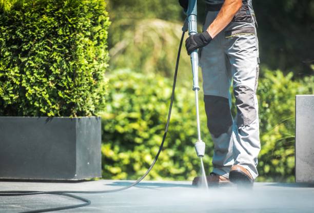 Animal Enclosure Cleaning in Annetta, TX